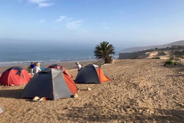 Align Essaouira Maroc