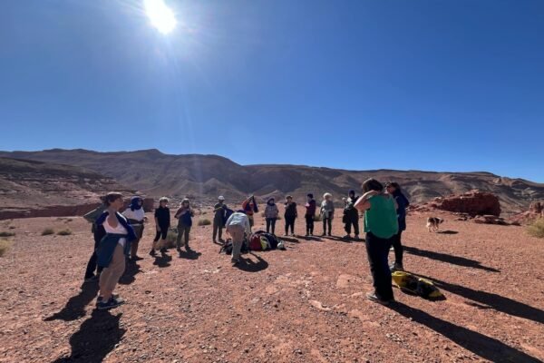 La frequence de la rose immersion vallee de la rose maroc