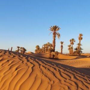 retraite de silence dans le désert