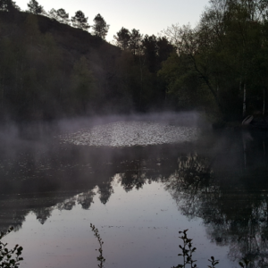 le miroir aux fées brocéliande